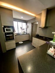 Parc Vista (D22), Condominium #462785481